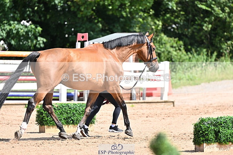 240718A-105242-01043 - Trot Up 11am to 12pm