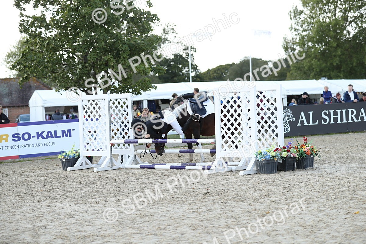 SBM_49506 - J22 - Junior Horse 65cm Championship