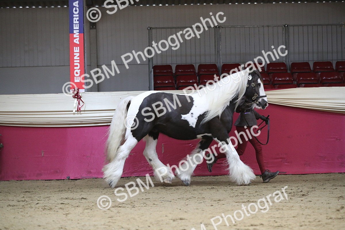SBM_01317 - Class 3a Area IH Pre Vet