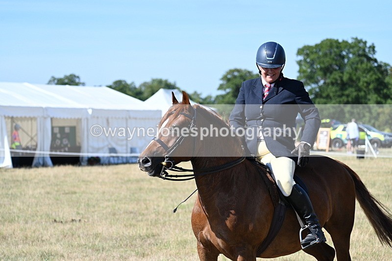 WJ7_3824 - Class 9 Mountain & Moorland Ridden