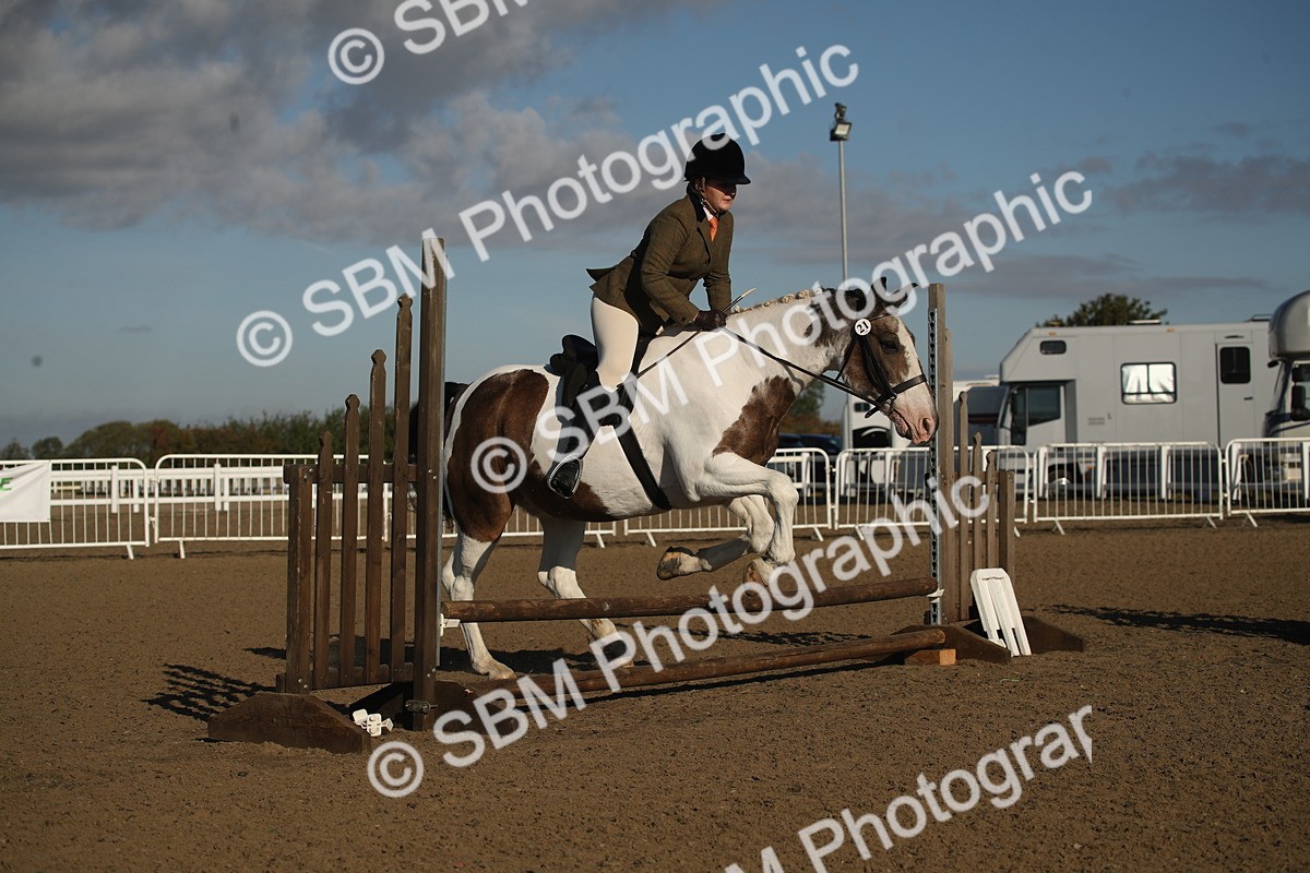 SBM_11576 - Class 502 - Riding Club Horse