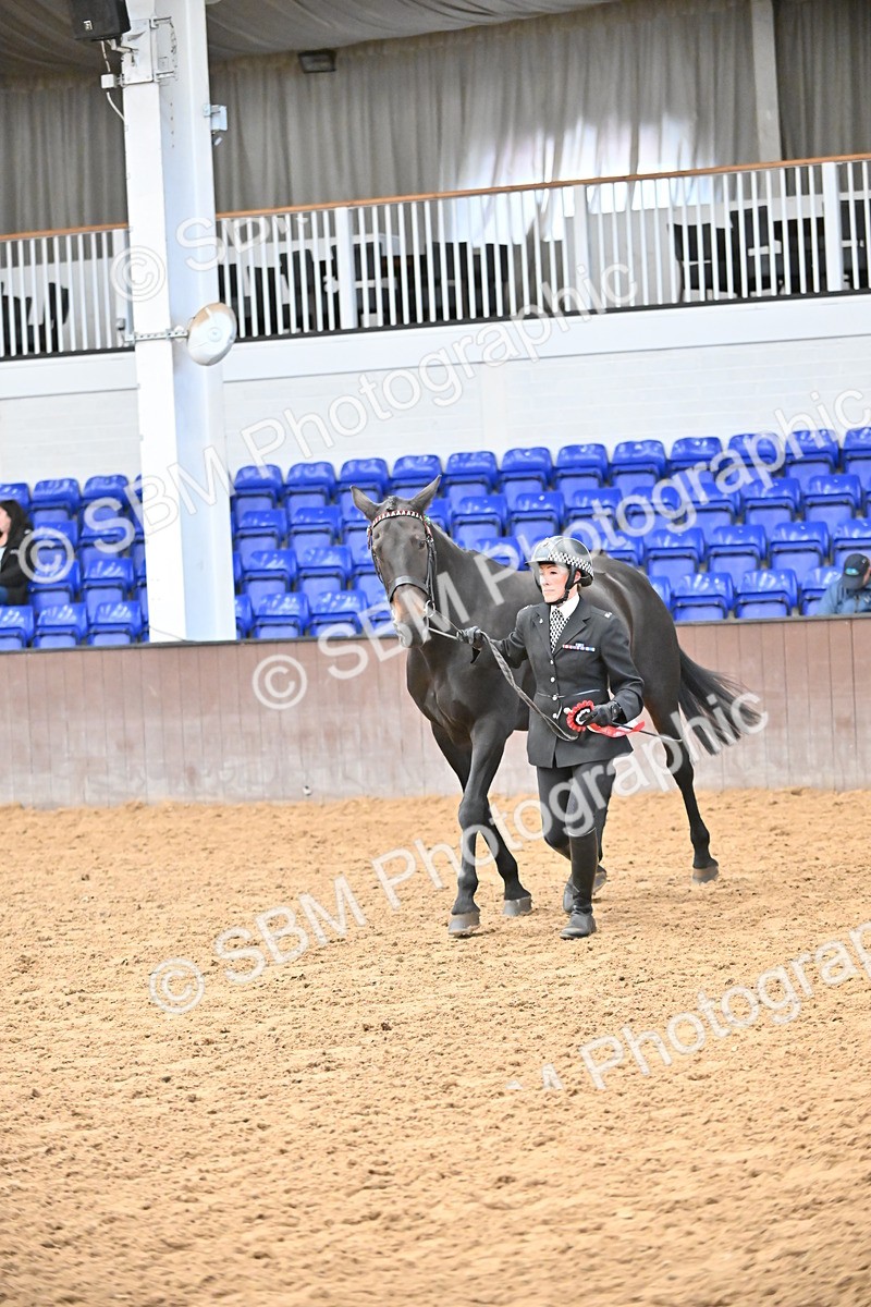 SBM_000764 - Class 16 - In Hand Showing Supreme Championships