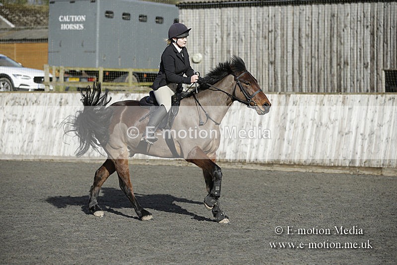 BVRC 050320 0032 - Bourne Valley riding Club Show Jumping Tidworth 08/03/20