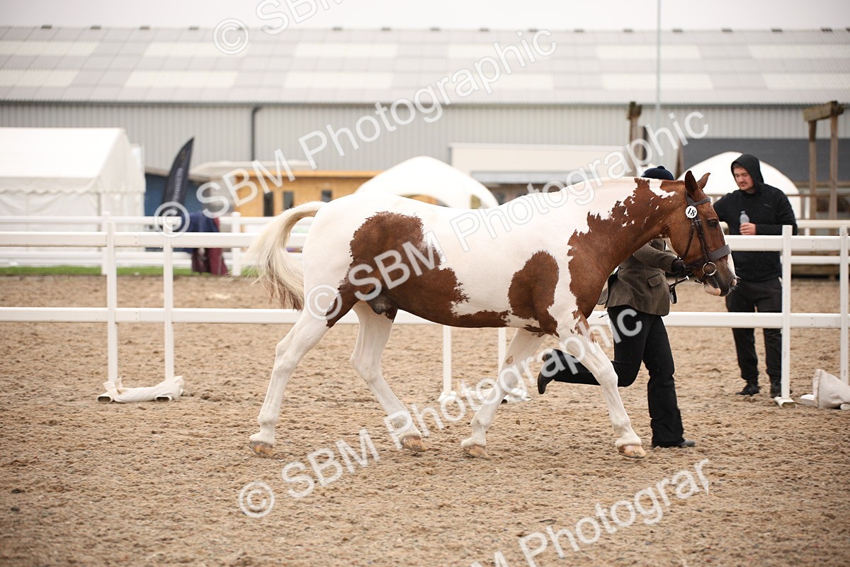 SBM_20169 - Class 703 - IH  Coloured