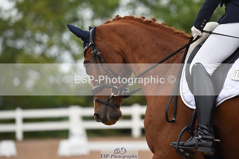 230912A-090734-00034 - Cls 1 Prelim 15