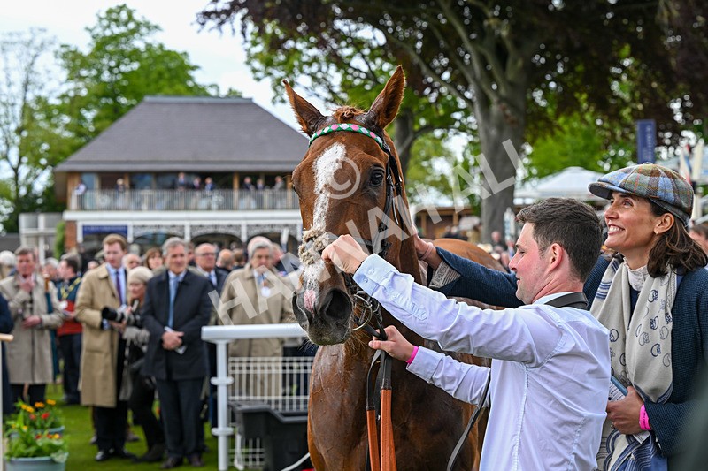 140526-Race 5-Item-5719 - Race 5 4.05pm Al Basti Equiworld Dubai Dante Stakes