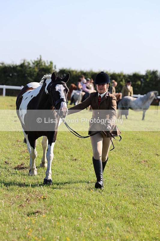 IMG_1403 - Class 28: Ridden Plaited Coloured Pony