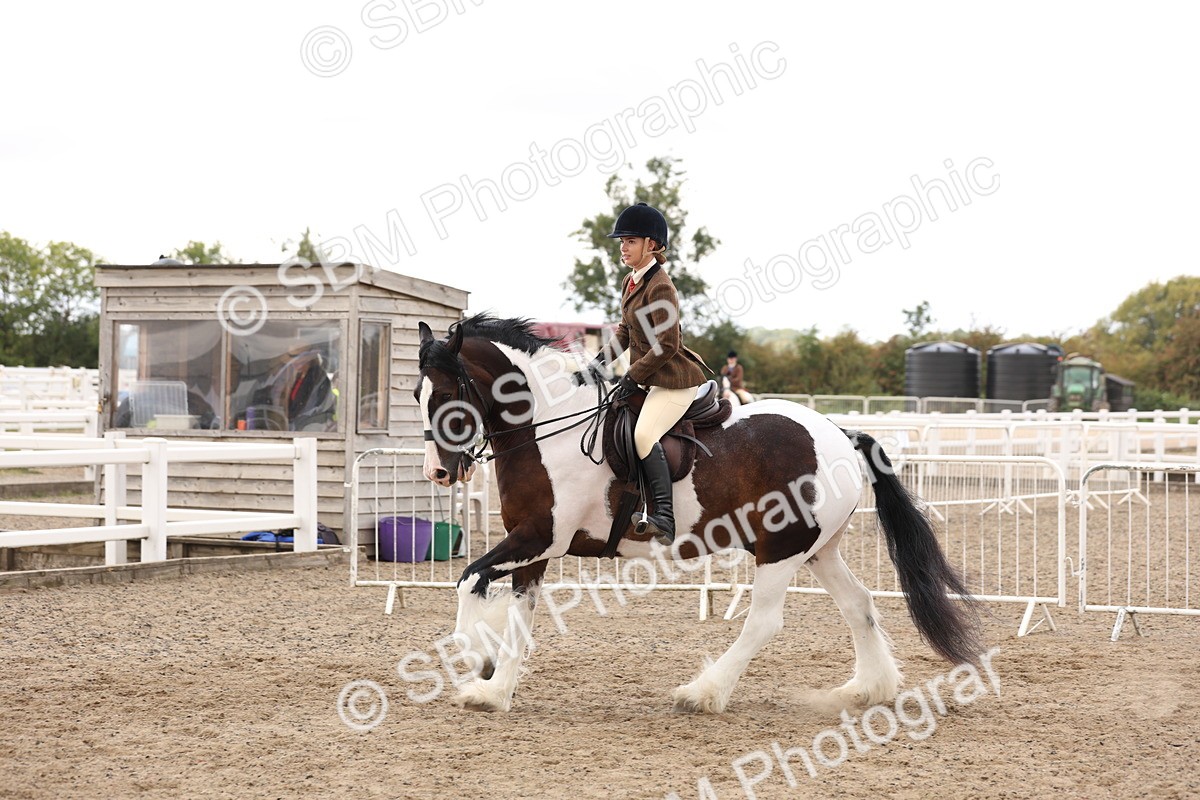 SBM_04200 - Class 54 - Riding Club Horse/Pony
