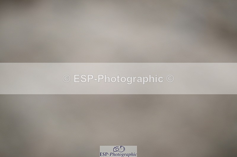240611A-163626-00252 - 50cm