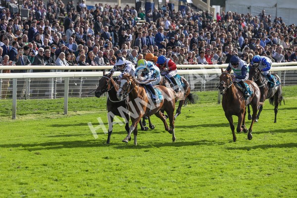 141023-Race 2-Whiskey Pete-0345 - Race 2 1.50pm Play Coral 'Racing-Super-Series' For Free Nursery Handicap