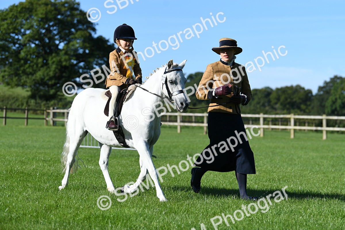 SBM_35511 - S17 - Condition & Turnout - Lead Rein