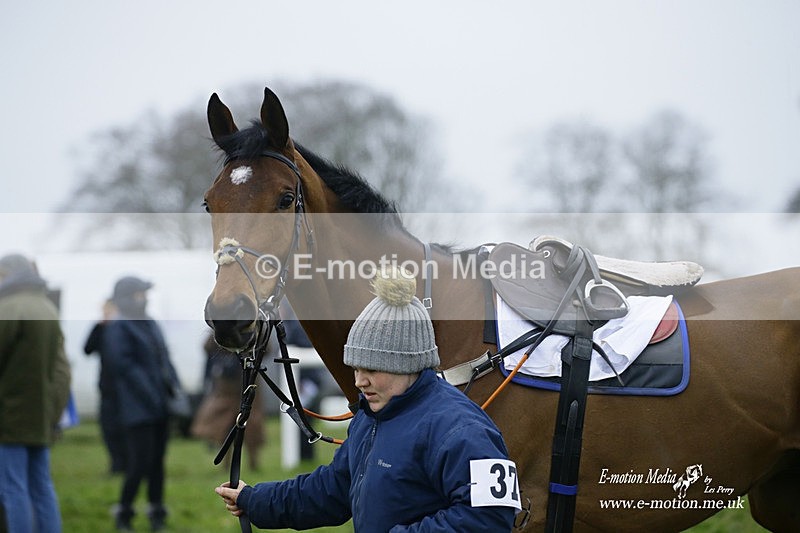PtP 200222 658 - Countryside Alliance PtP Badbury Rings 20/02/22