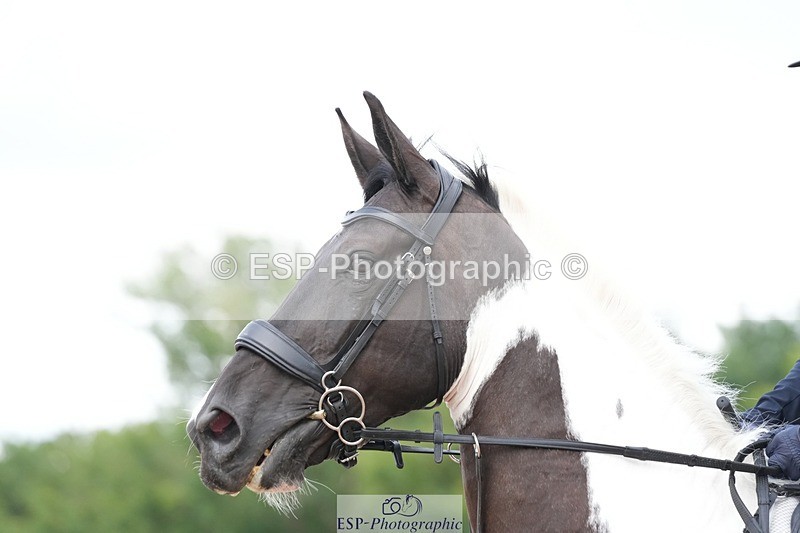 250731-105659-01481 - Cls 08  85cm Nat Am Qual