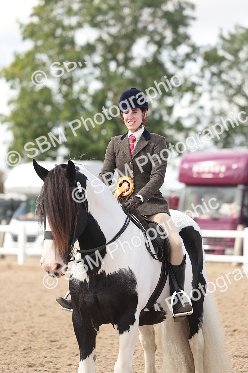 SBM_14852 - Class 308 - Ridden Coloured Horse