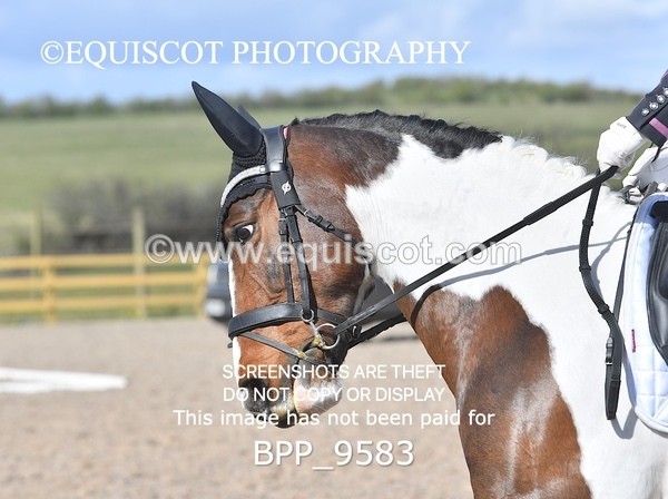 BPP_9583 - NOVICE 6