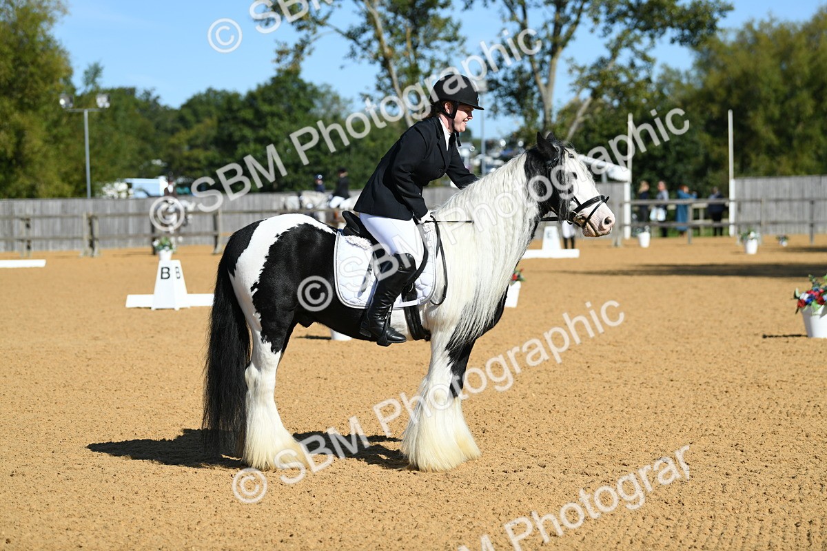 SBM_18090 - D4 - Small Tour Championship - Intro B