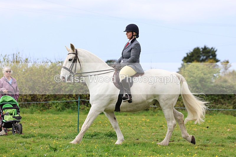 3E7A1341 - Class 7: Ridden Hunter Type