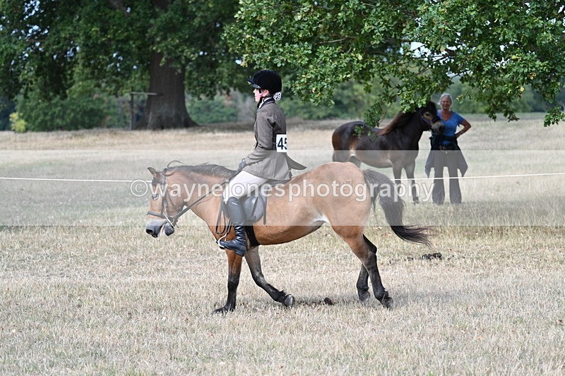 WJ7_6029 - Class 13 Ridden Veterans