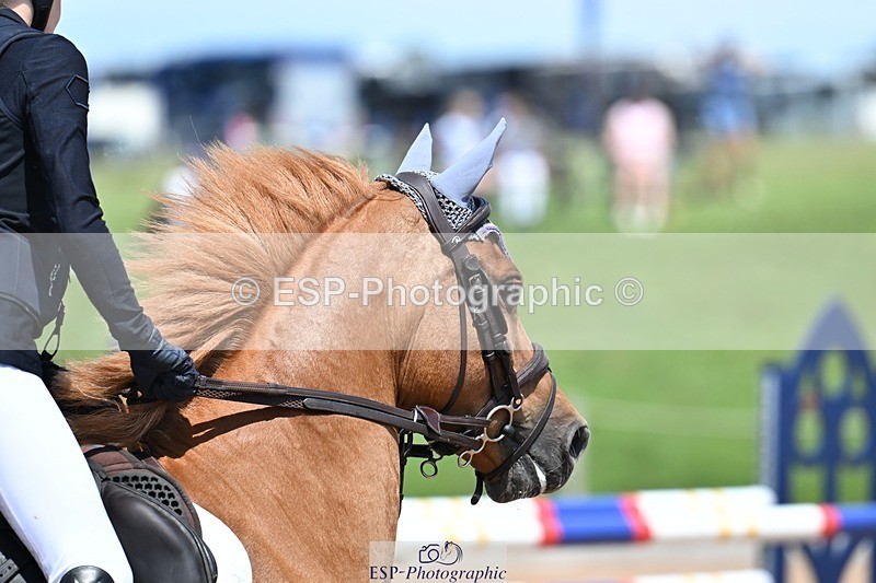 260627-133311-04367 - Cls 14 Newcomers 2nd R's Jump Off and P