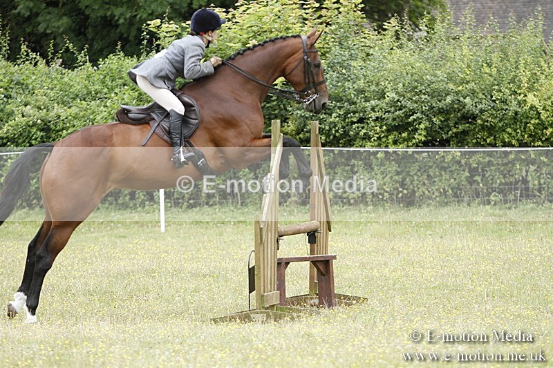 BVR160717-1699 - Ring 3 BVRC Show 16/07/17