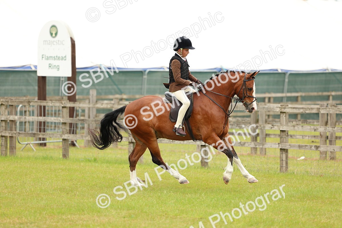 SBM_10231 - Class 44-45 - LIHS BSPS Open Nursery and Cradle Stakes