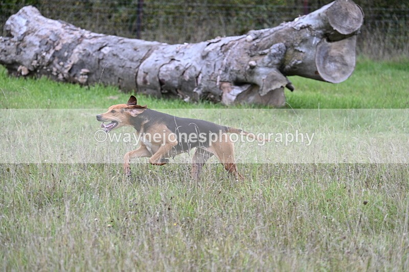 WJ7_3512 - Camera 1 Line 1