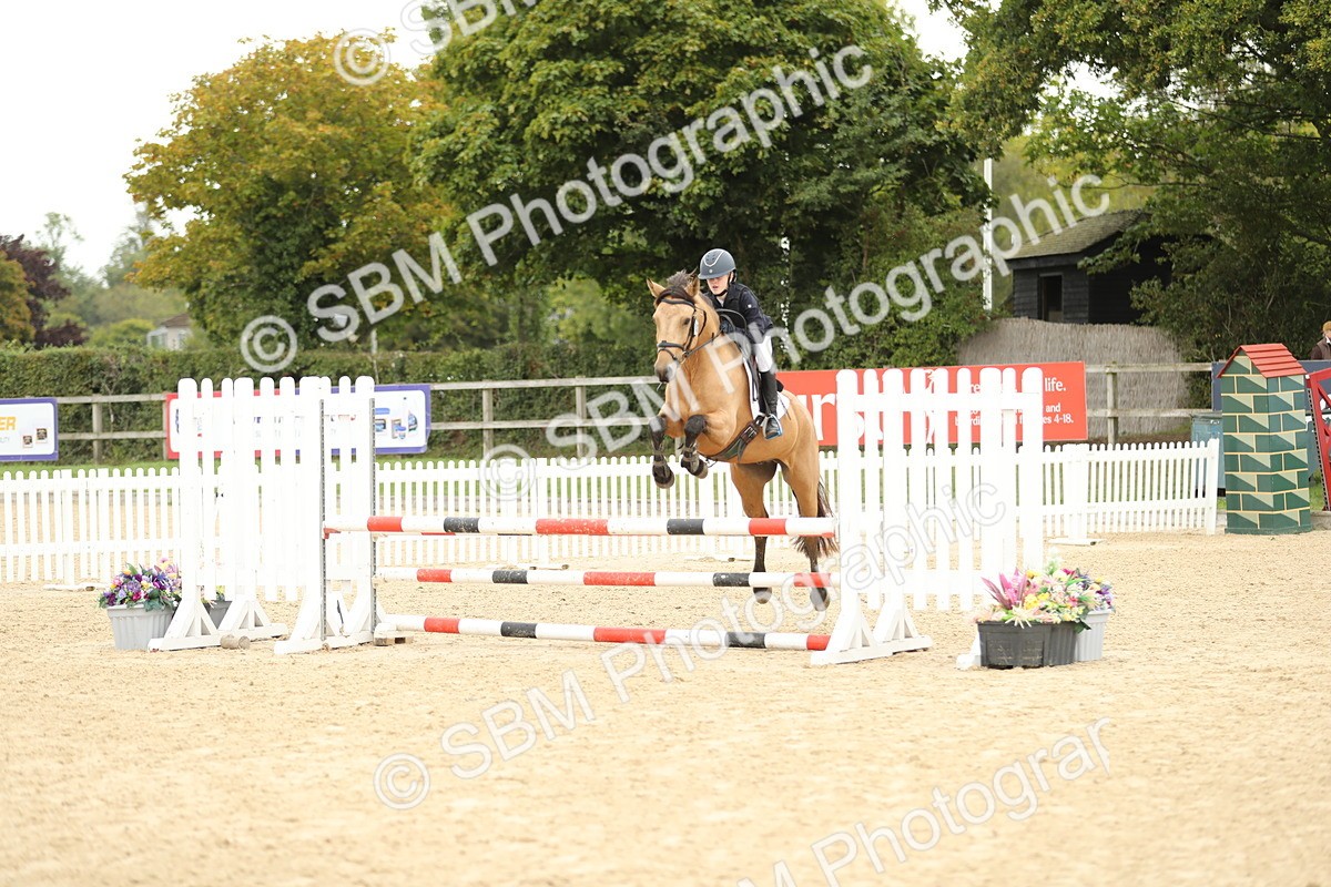 SBM_63119 - Supreme championship 75cm 80cm
