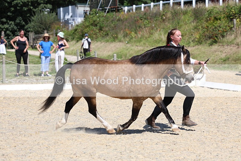 3E7A9566 - Class 32: Best Grass Kept