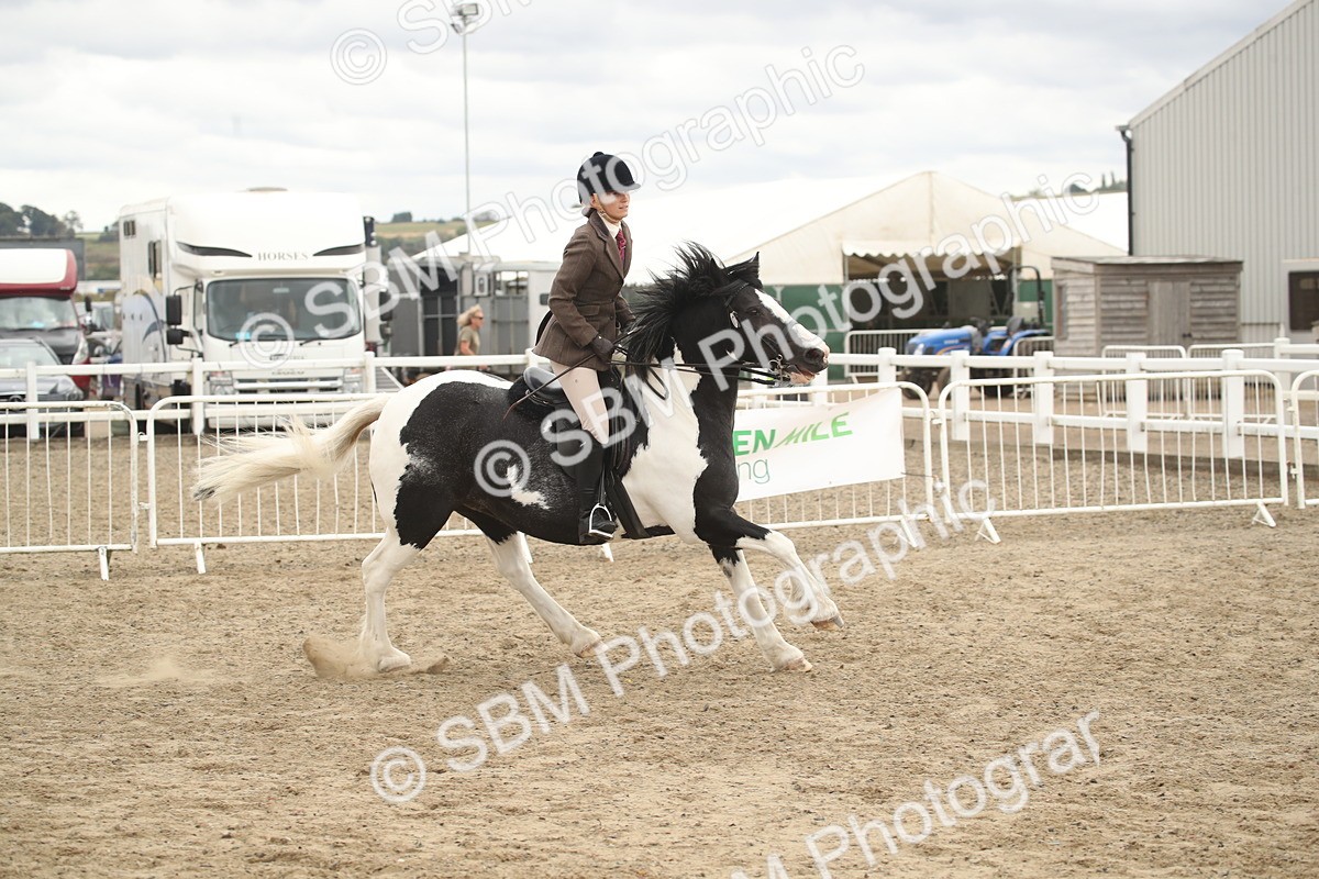 SBM_17632 - Class 508a - Working Veteran 70cm (15-19)