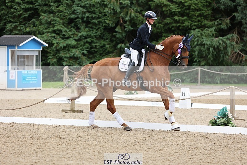 240810-170514-04541 - Elementary Silver