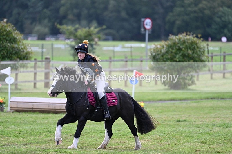 WJ7_8025 - 40cm Time 10:49 to 11:18