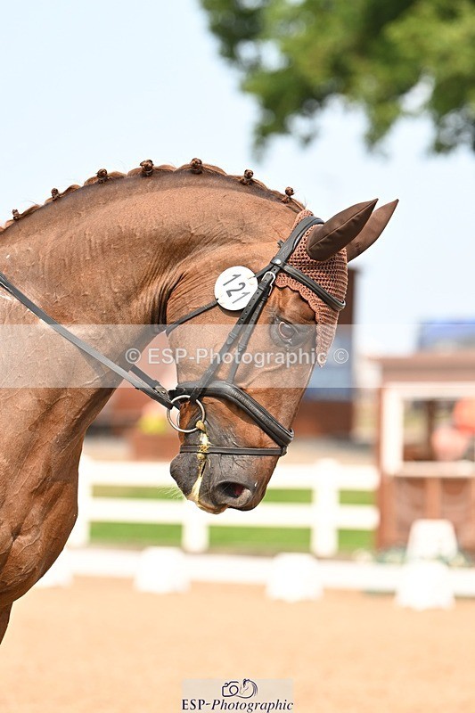 250816-152352-06172 - 121-Daisy.HedgesFelicia.v