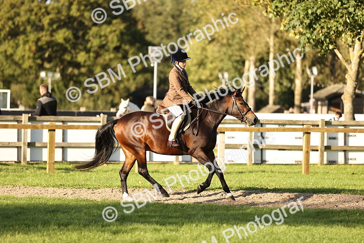 SBM_29618 - S7 - Novice & Newcomers Ridden Pony