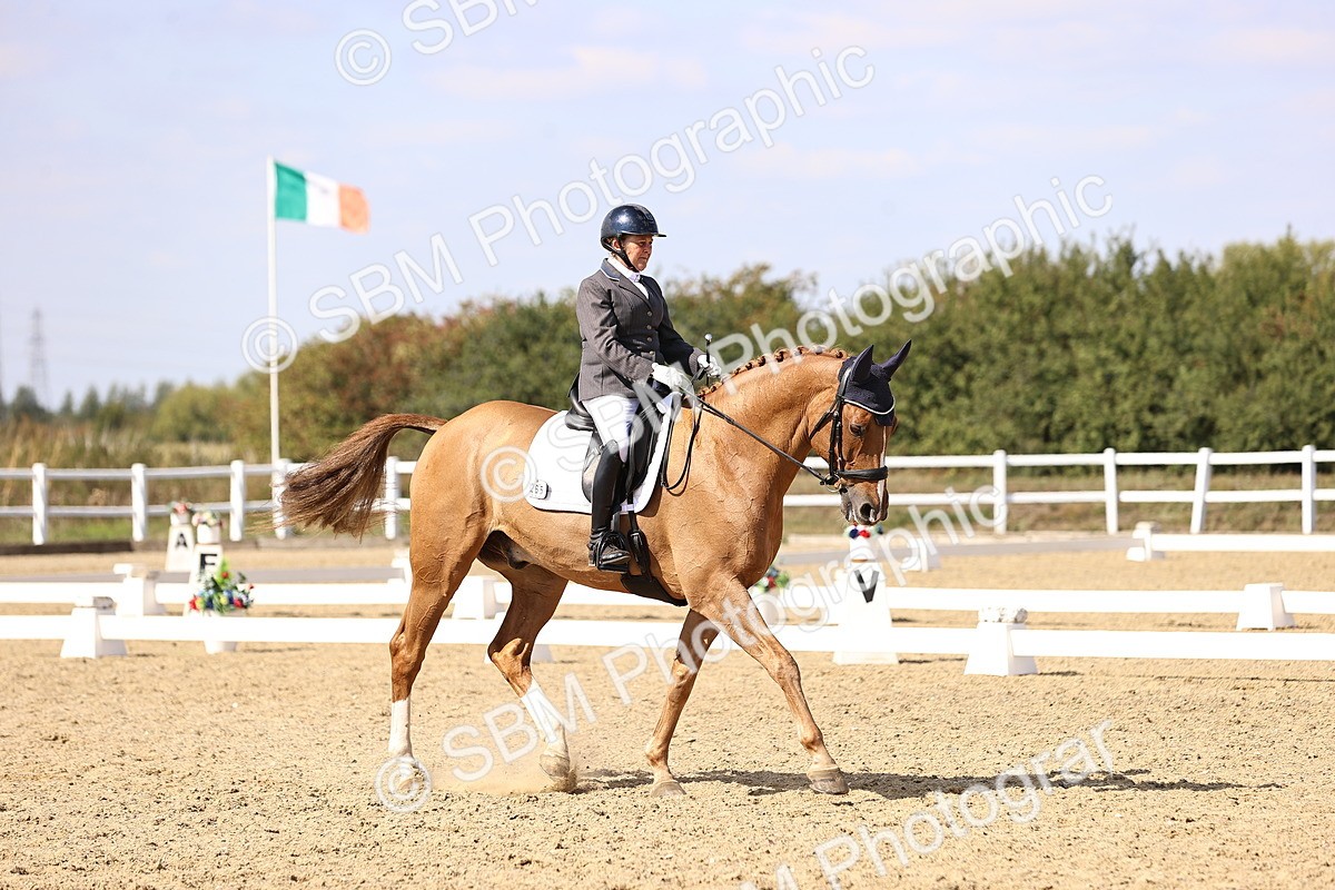 SBM_015096 - Class 6 - Elementary 5