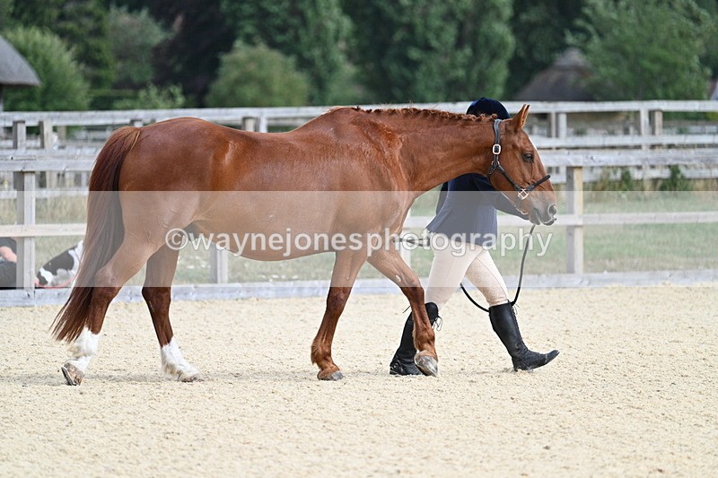 WJ7_1951 - In Hand