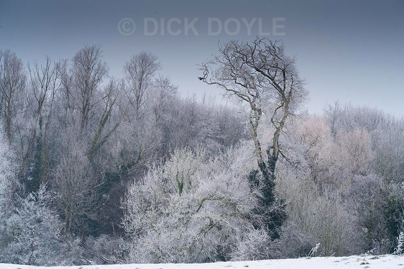 Frosty landing