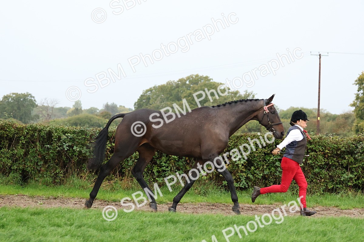 SBM_35285 - S10 - Best In Hand Horse & Pony