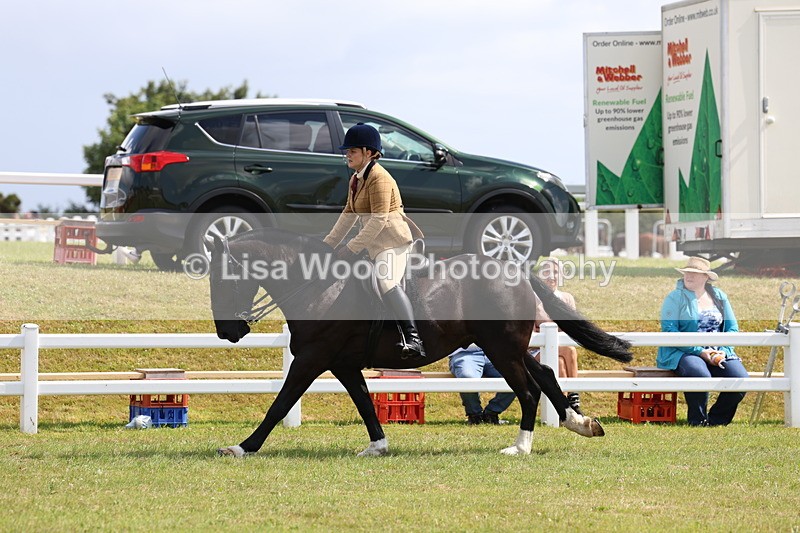 3E7A9766 - Class 5: Rising Star Lightweight/Heavyweight Cobs