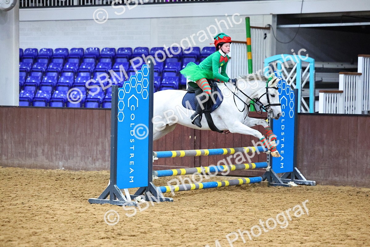 SBM_001383 - Class 3 - Christmas Tree Stakes - 60cm