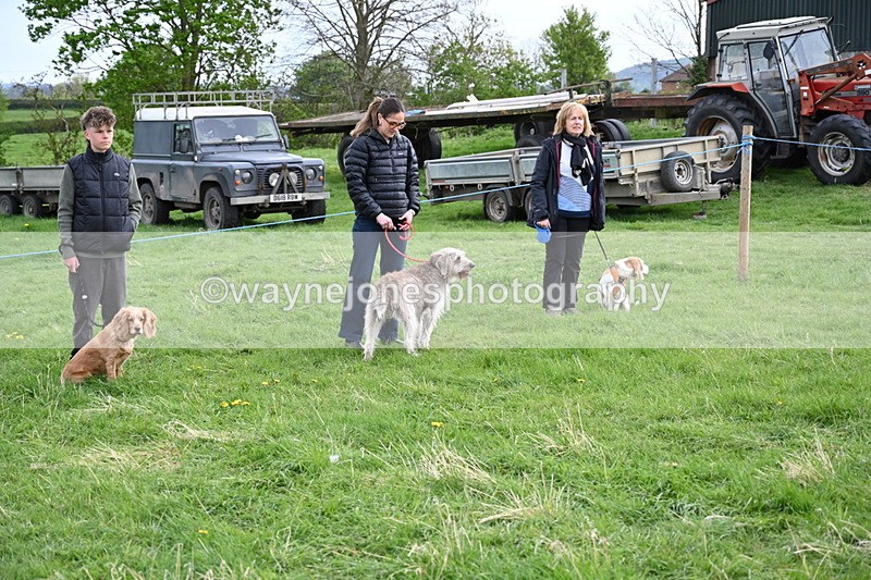 WJ6_8028 - Class 2 Best Pedigree