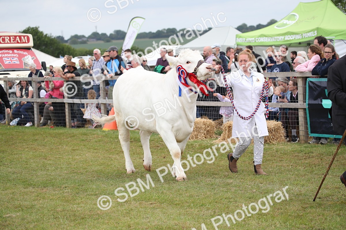 SBM_07825 - Grand Parade
