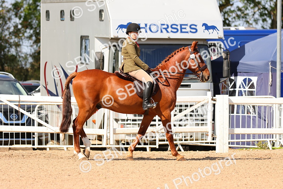 SBM_13155 - Class 211 - Ridden Hunter - Small