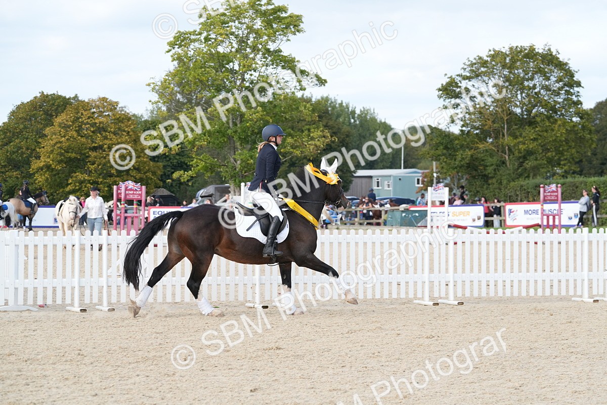 SBM_48917 - J22 - Junior Horse 65cm Championship