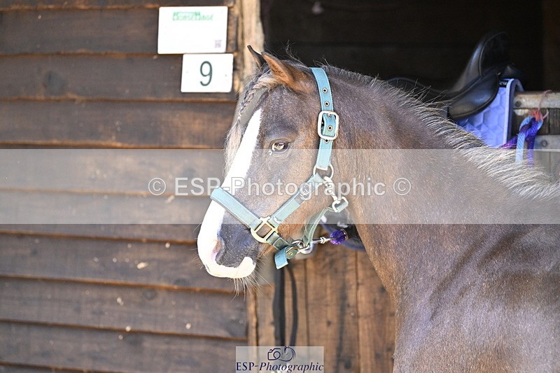 240728B-093134-00038 - Sunday Stable Shots and Fancy Dress