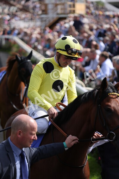 yr18082021r3-27 - Race 3 3.00pm Sky Bet Great Voltigeur Stakes
