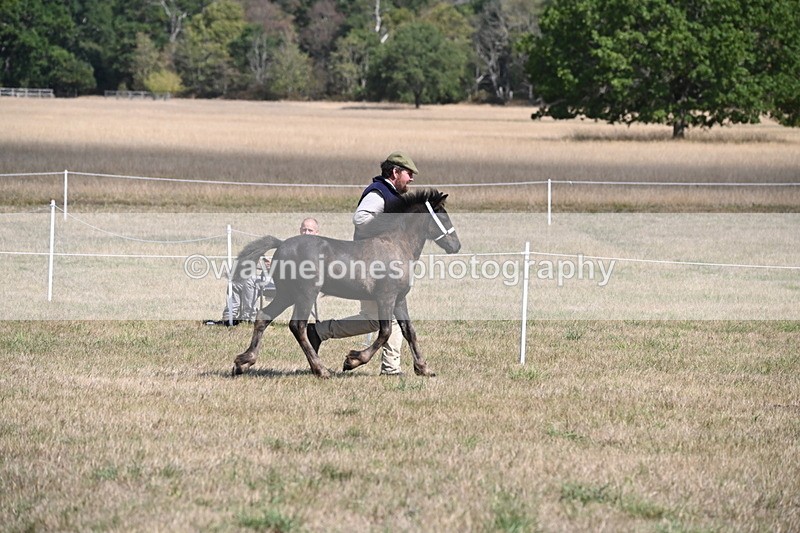 WJ6_5141 - Class 17 Mountain & Moorland
