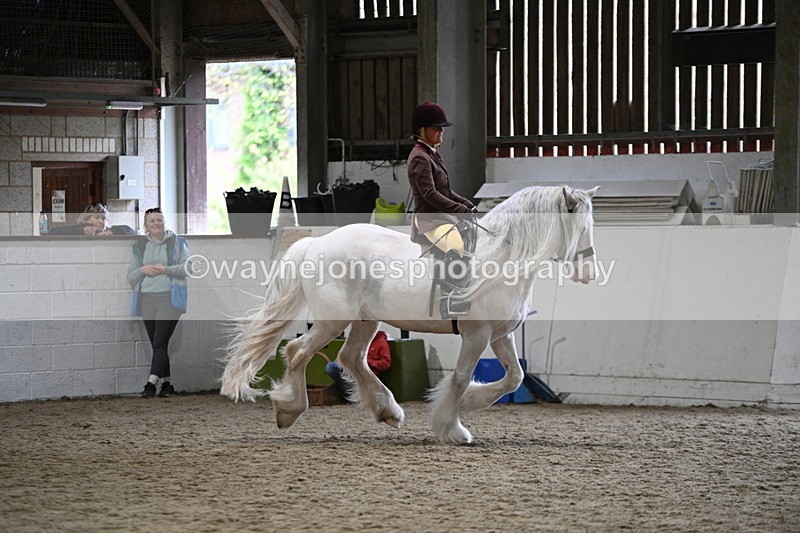 WJ7_3684 - Class 16 Ridden Coloured/ Odd Coloured