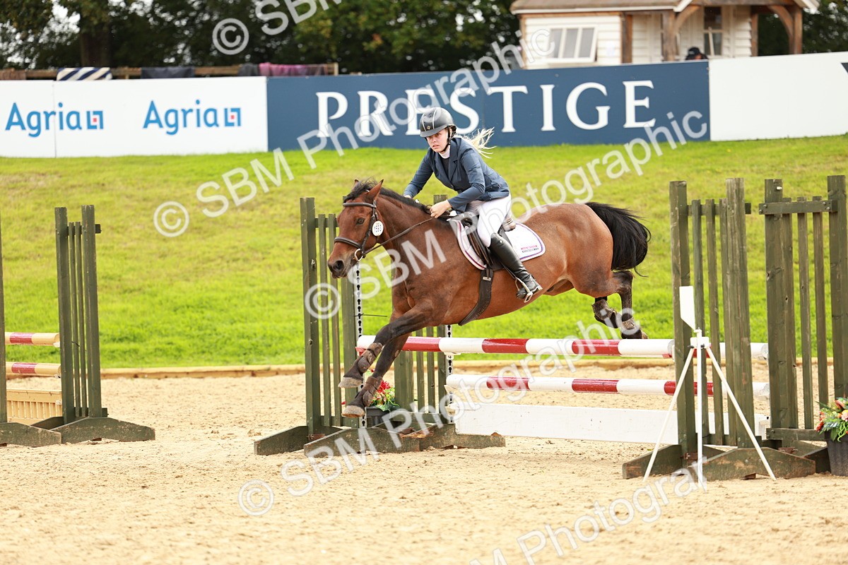 SBM_38467 - Supreme Championship 80cm 85cm