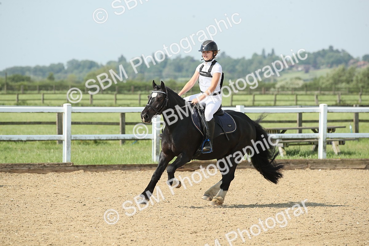 SBM_011159 - 60cm