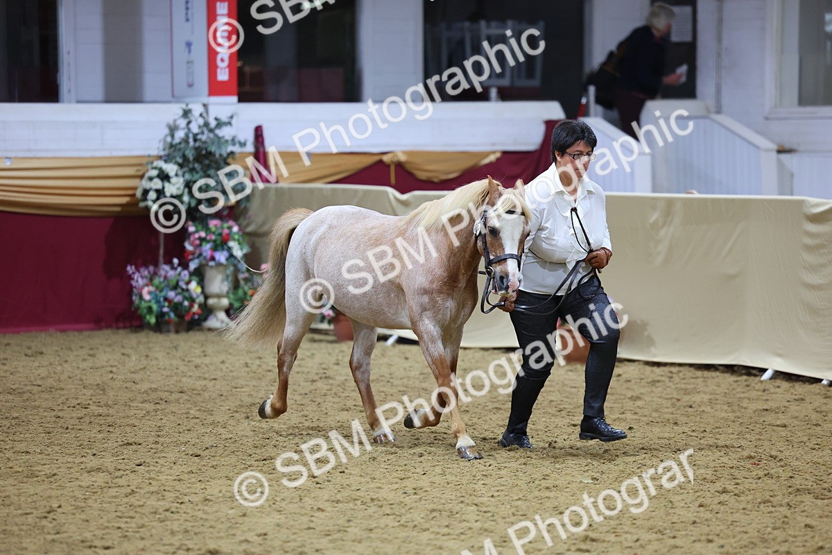 SBM_21032 - Class 902 - Supreme Final IH Veteran